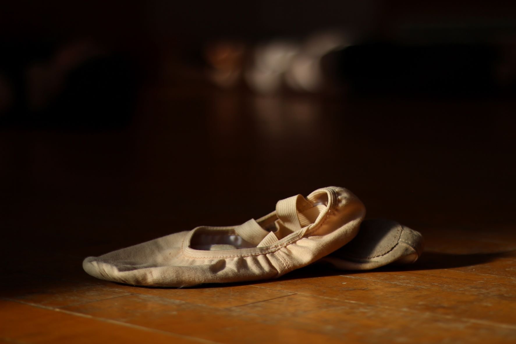 Novaes Ballet School - ballet shoes